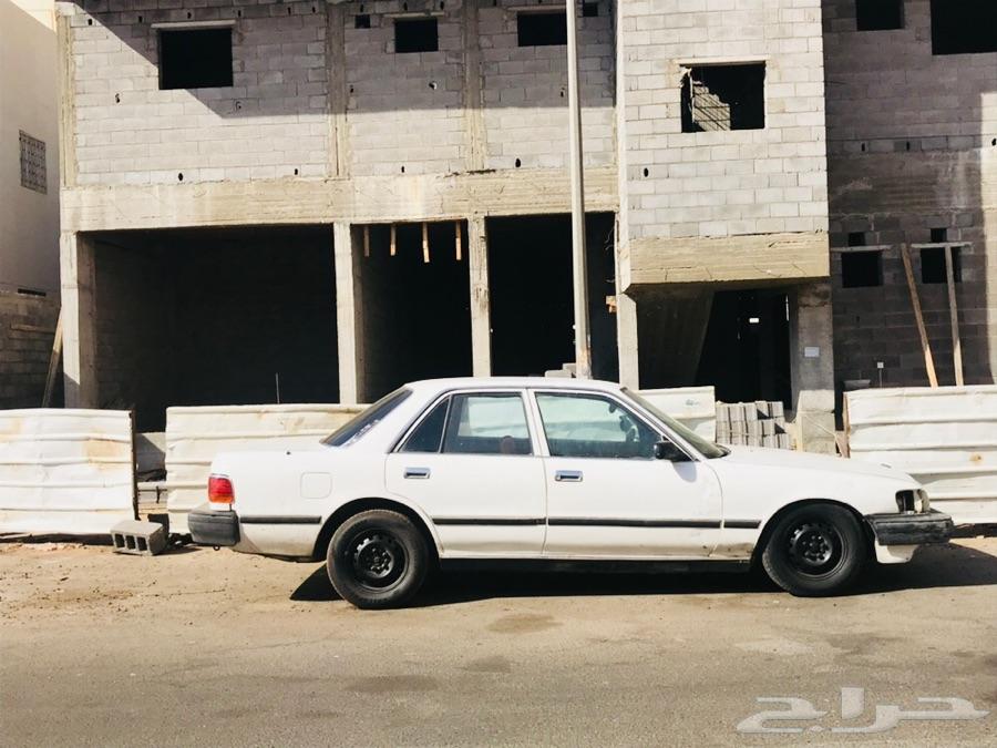 تبوك -