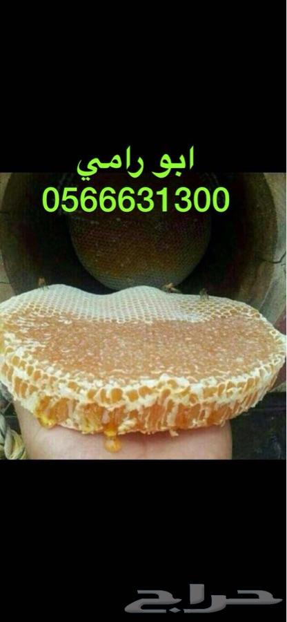 عسل سدر وسمر وطلح وصيفي مضمون وعلى الشرط