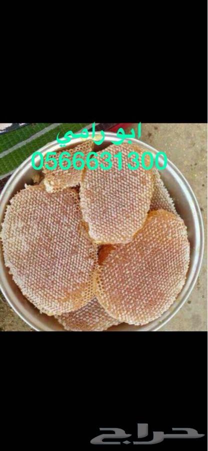 عسل سدر وسمر وطلح وصيفي مضمون وعلى الشرط