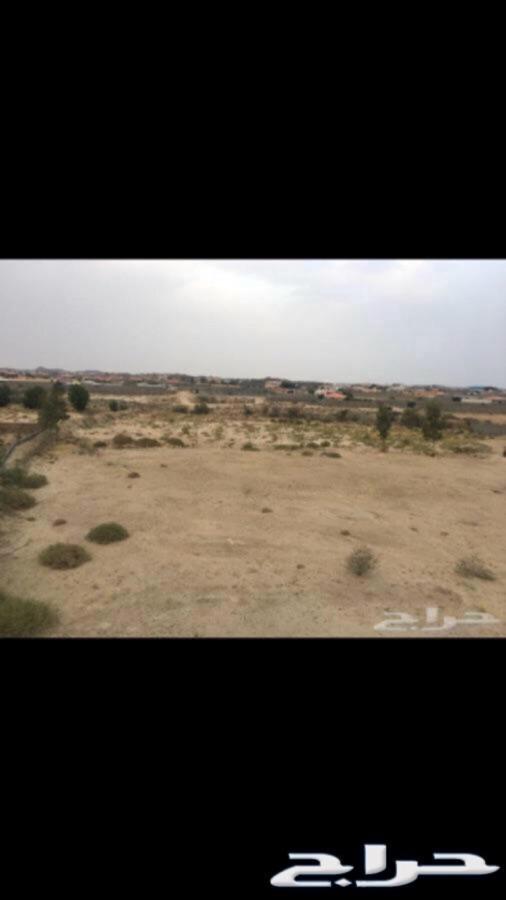 ارض مساحة كبير للايجار موقعها ممتاز