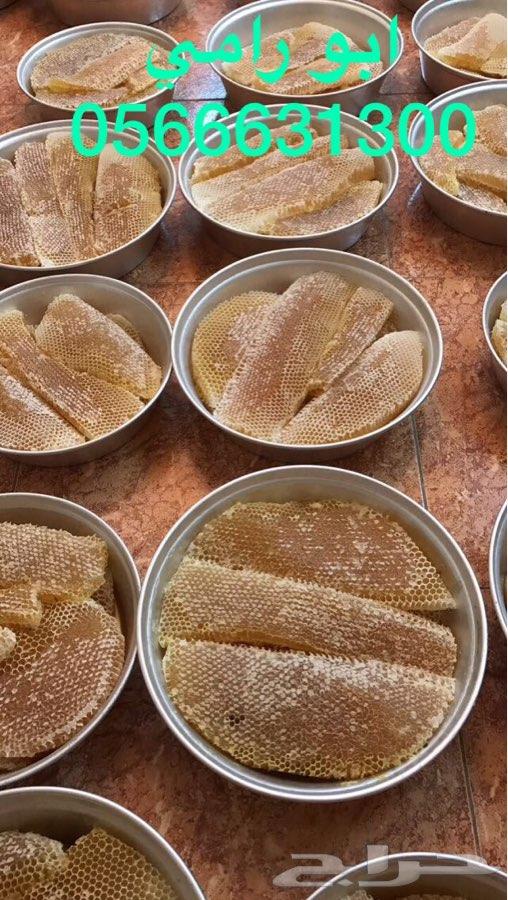 عسل سدر وسمر وطلح وصيفي مضمون وعلى الشرط