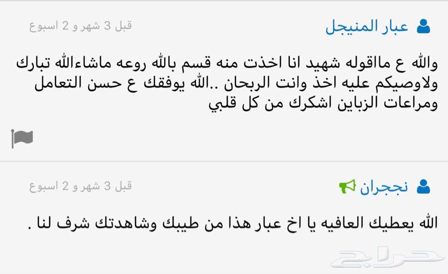 عوده مشروطه اسعار جمله