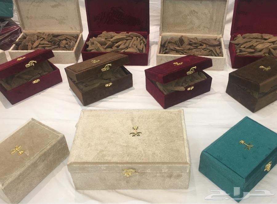 عوده مشروطه اسعار جمله