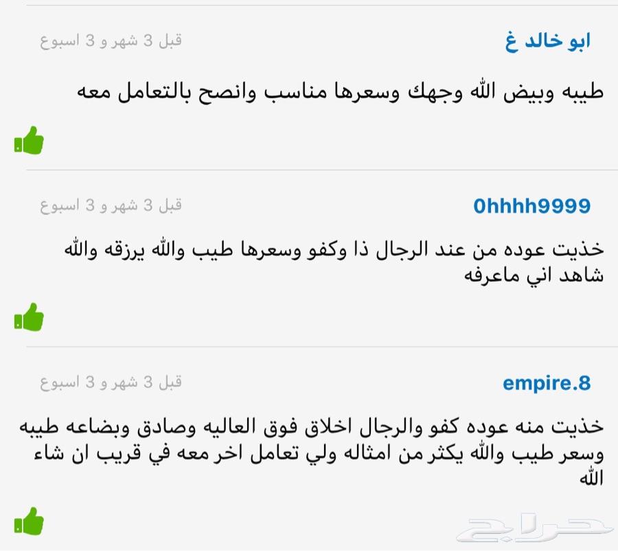 عوده مشروطه اسعار جمله
