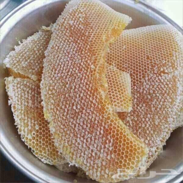 عسل سدر اصلي 20 الف ريال اذا اختلف