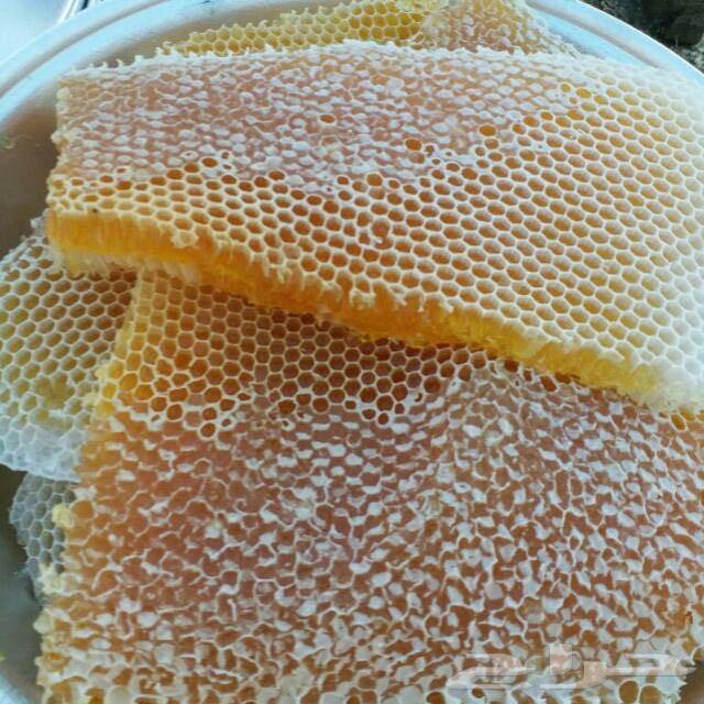 عسل سدر اصلي 20 الف ريال اذا اختلف