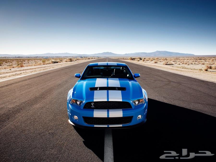 كت موستنق شلبي Shelby