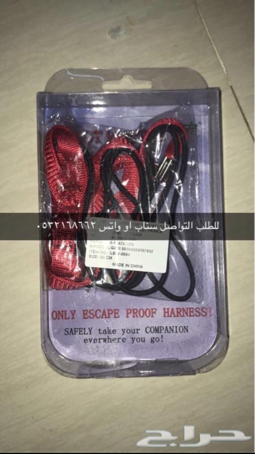 مستلزمات واكل ببغاوات وفروخها