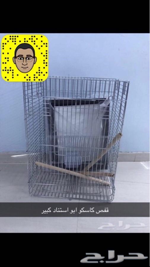 مستلزمات واكل ببغاوات وفروخها