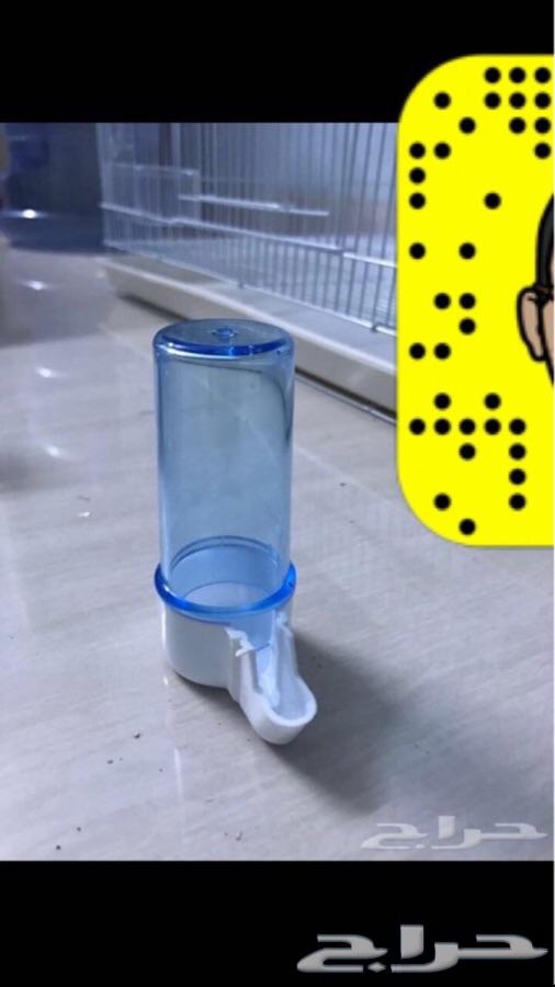 مستلزمات واكل ببغاوات وفروخها