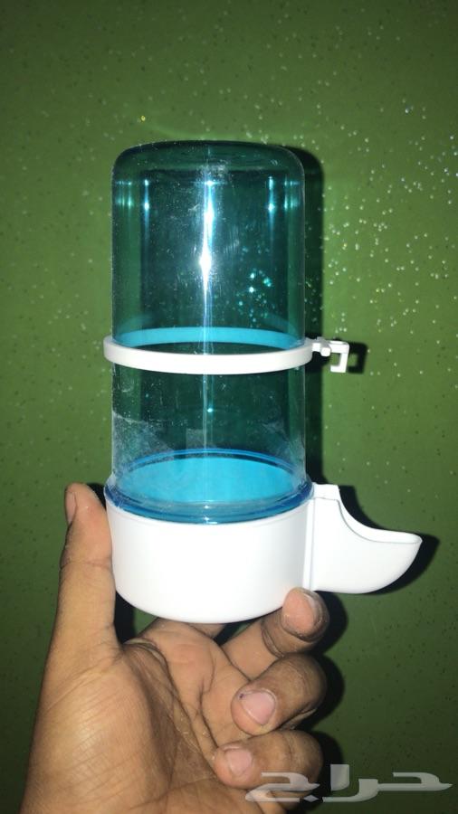 مستلزمات واكل ببغاوات وفروخها