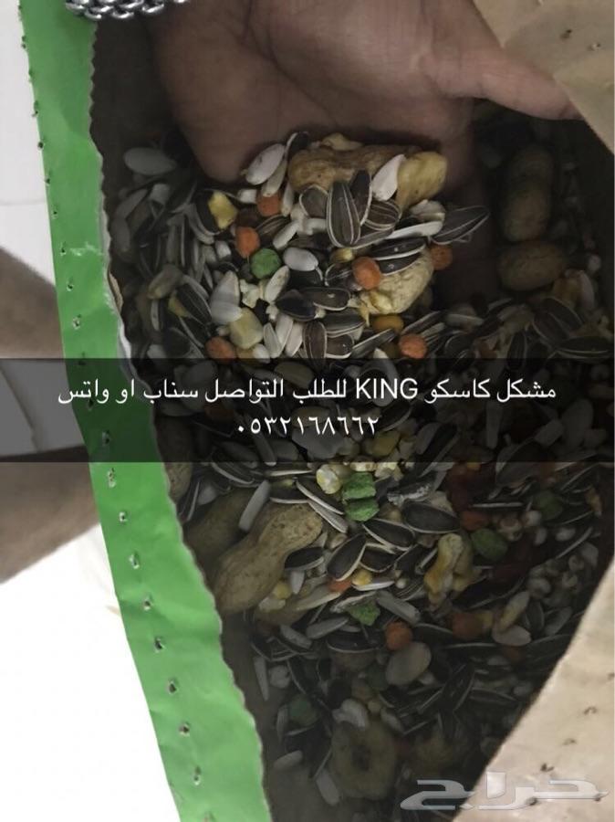 مستلزمات واكل ببغاوات وفروخها