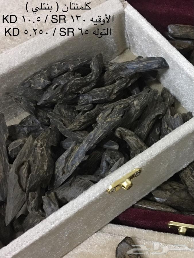 بخوور عوود كلمنتان ومروكي.