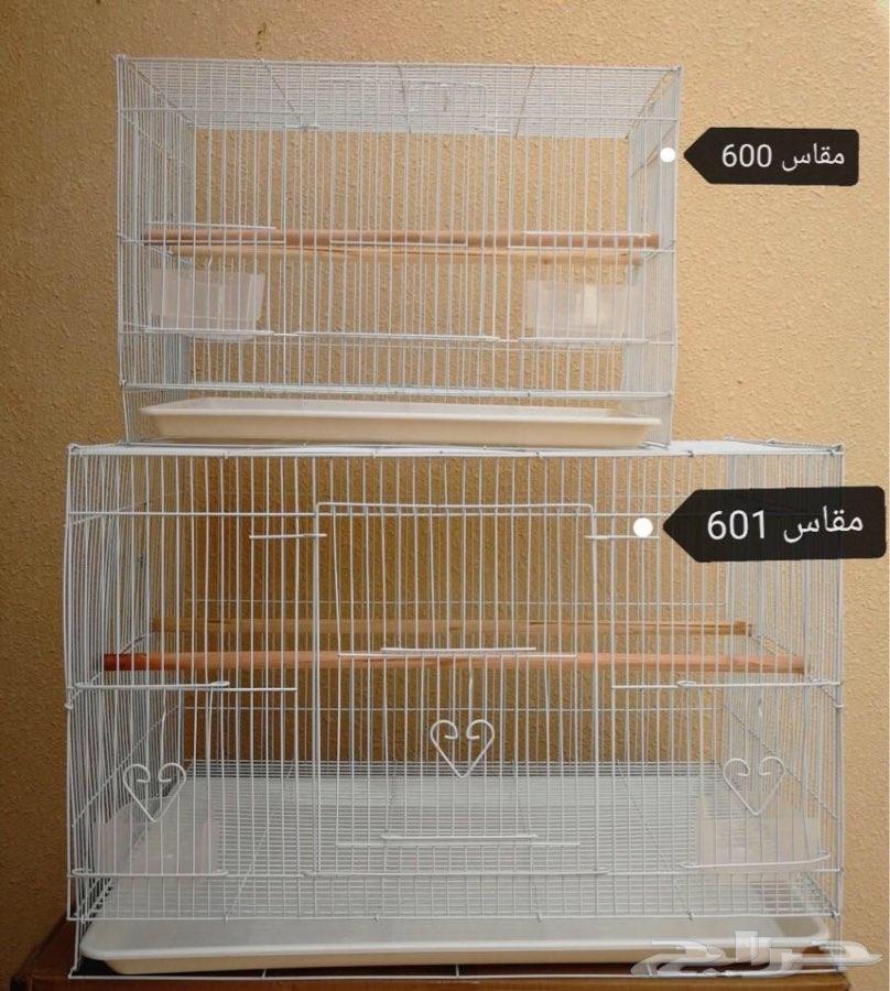 مستلزمات واكل ببغاوات وفروخها
