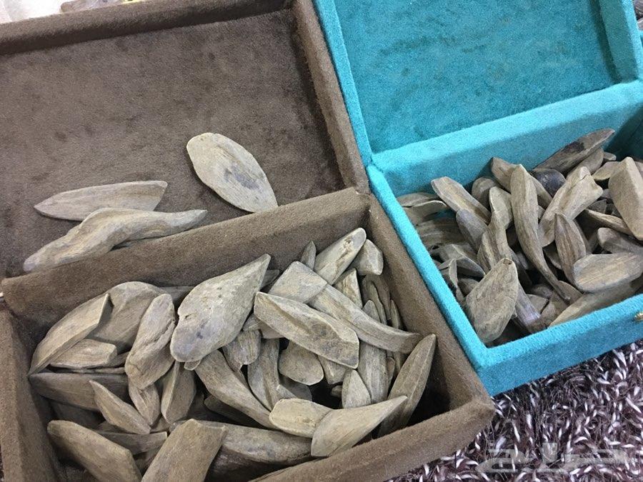 بخوور عوود كلمنتان ومروكي.
