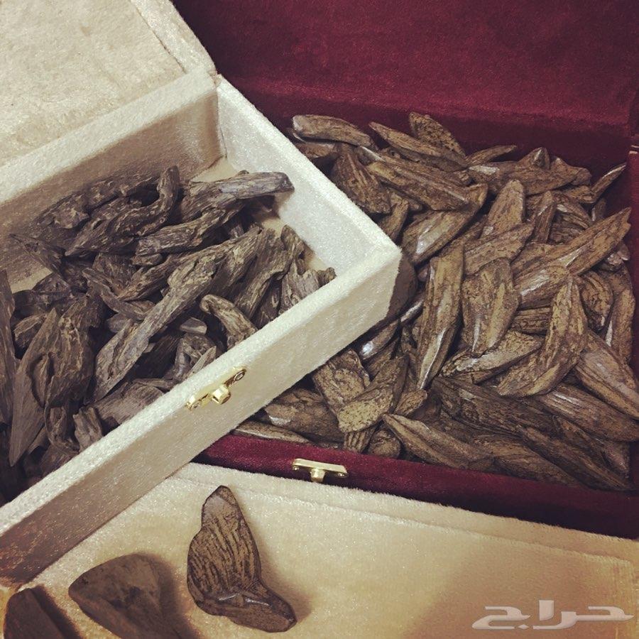 بخوور عوود كلمنتان ومروكي.