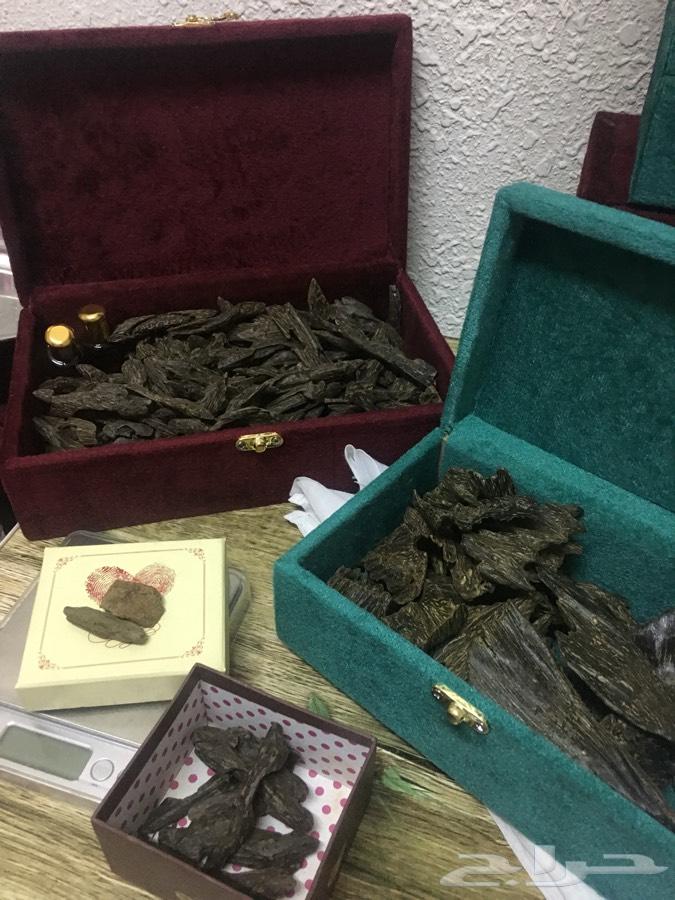 بخوور عووود فاخر وطيب واسعار مناسبه