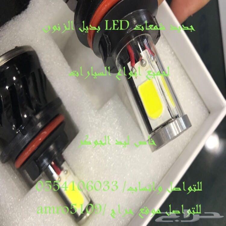 بديل الزينون ليد