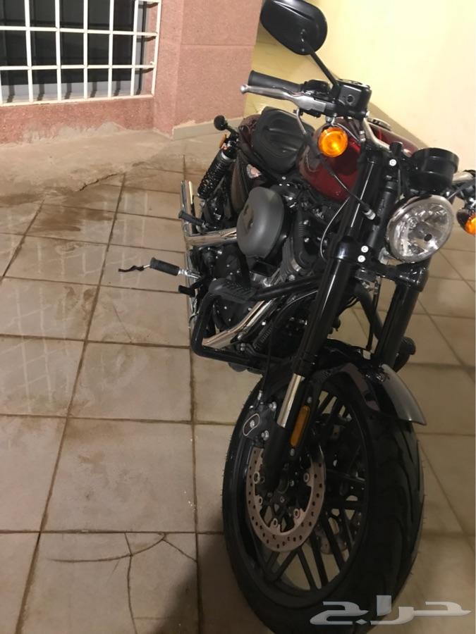 الرياض - هارلي سبورستور
