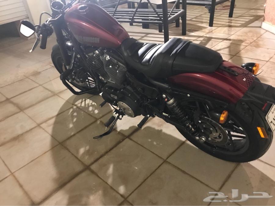 الرياض - هارلي سبورستور