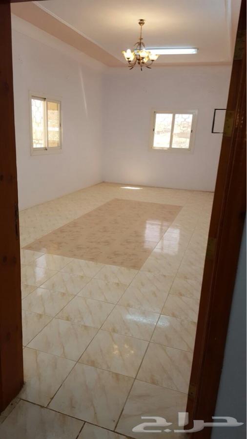 شقة عوائل للاجار