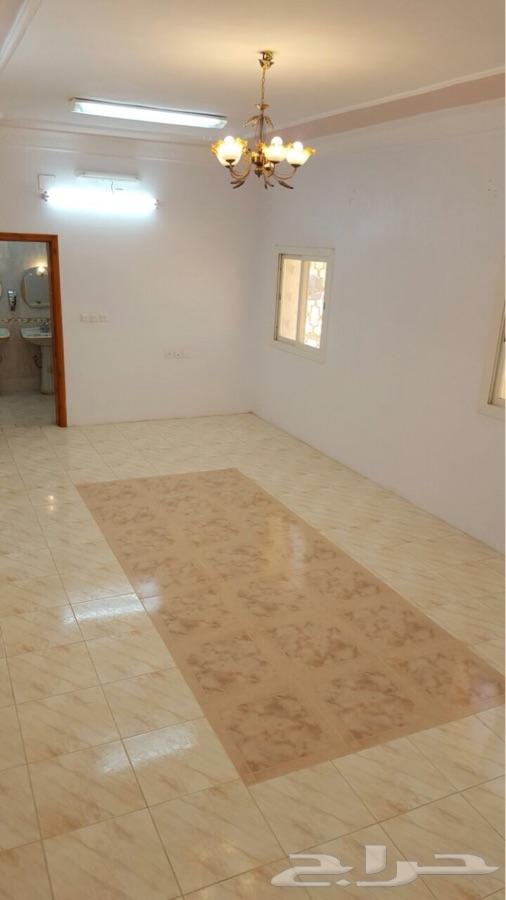 شقة عوائل للاجار