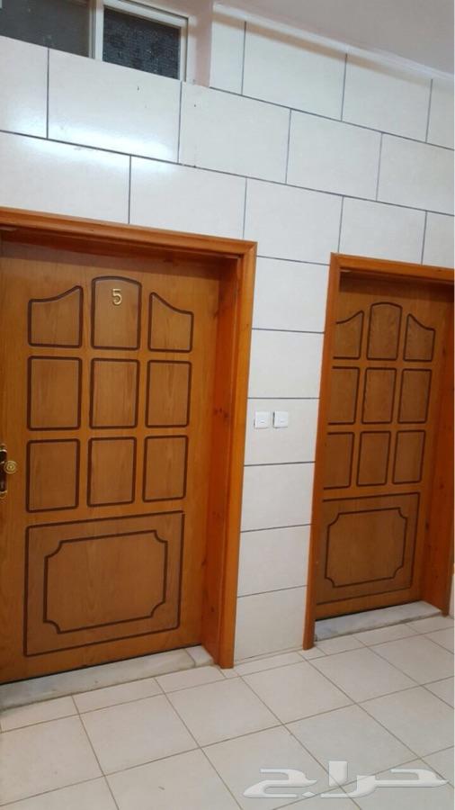 شقة عوائل للاجار