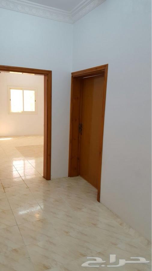 شقة عوائل للاجار