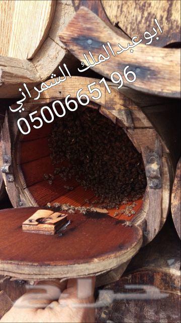 عسل عسل عسل عسل اصلي وطبيعي ذمة ومختبر((سدر))
