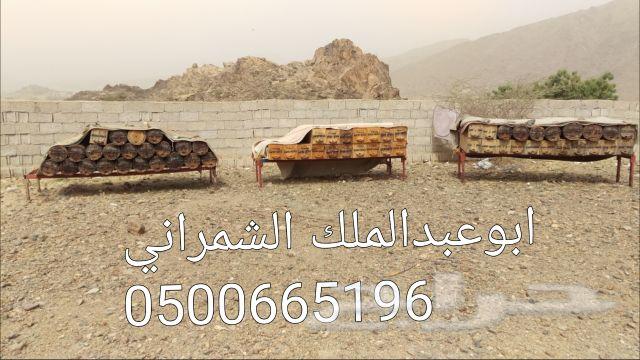 عسل عسل عسل عسل اصلي وطبيعي ذمة ومختبر((سدر))