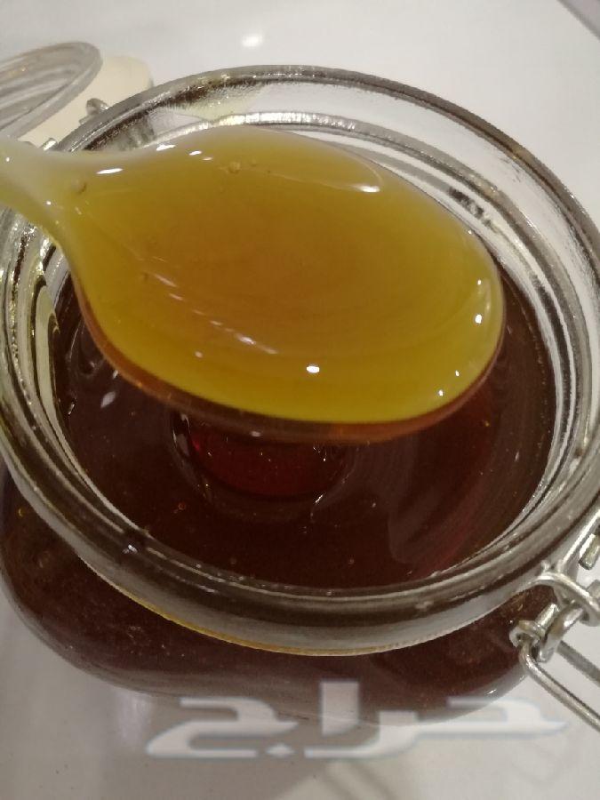عسل سدر اصلي عالشرط