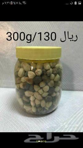 بذور يسر البان العربي المورنق