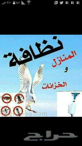 شركة تنظيف بالمدينة المنورة