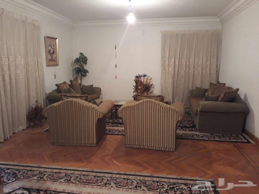 شقه بمصر بمدينة نصر