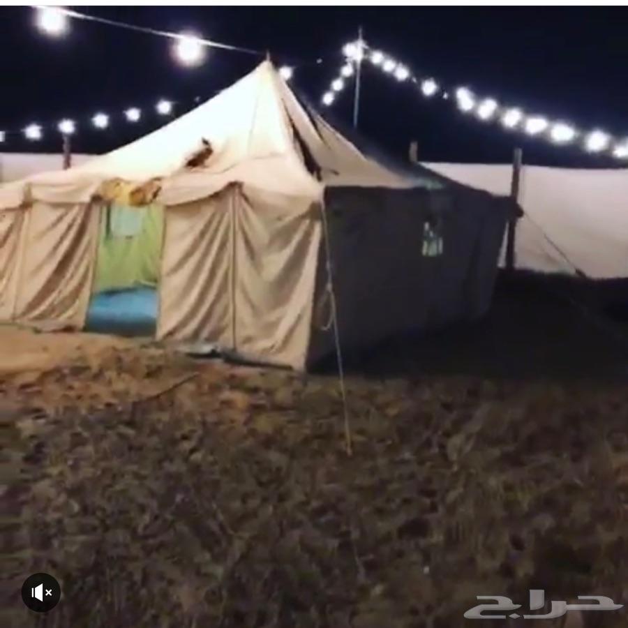 مخيم كامل للبيع (الأغراض فقط بدون الموقع