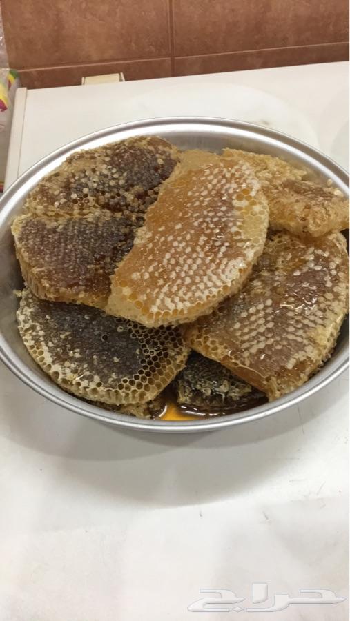 عسل سمر من ارض النماص الي حائل