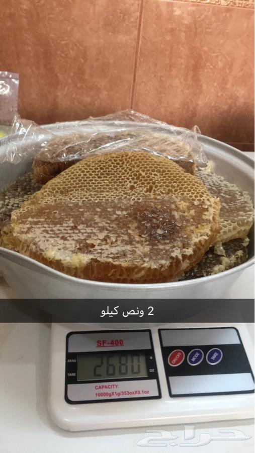 عسل سمر من ارض النماص الي حائل