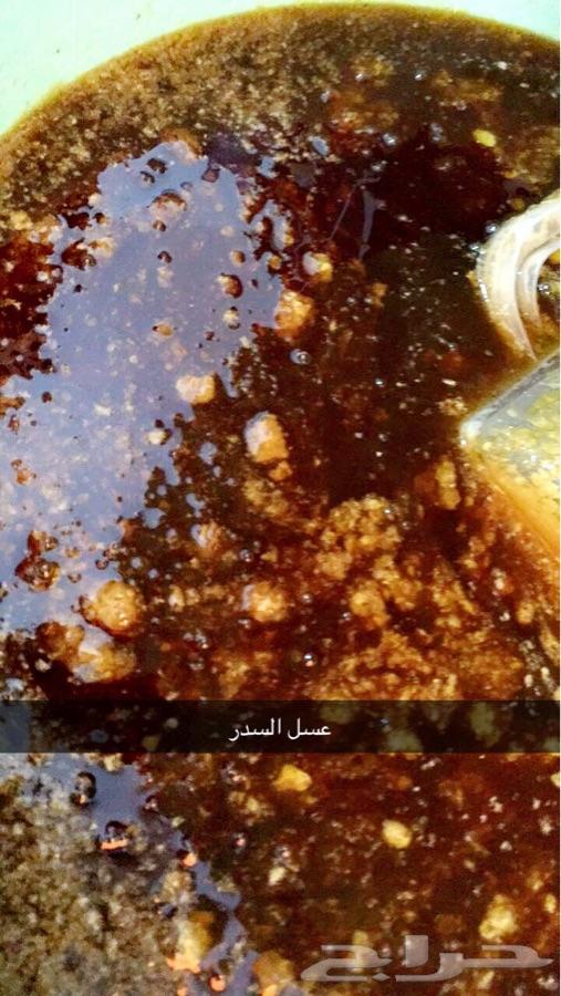 عسل سدر اصلي مضمون على المختبر قطفه1440