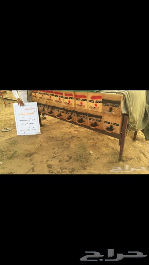 عسل سدر اصلي مضمون على المختبر قطفه1440