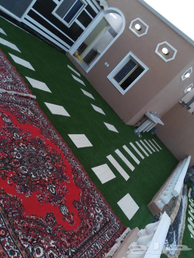 استراحه حي الاجاويد - الالفيه - جده