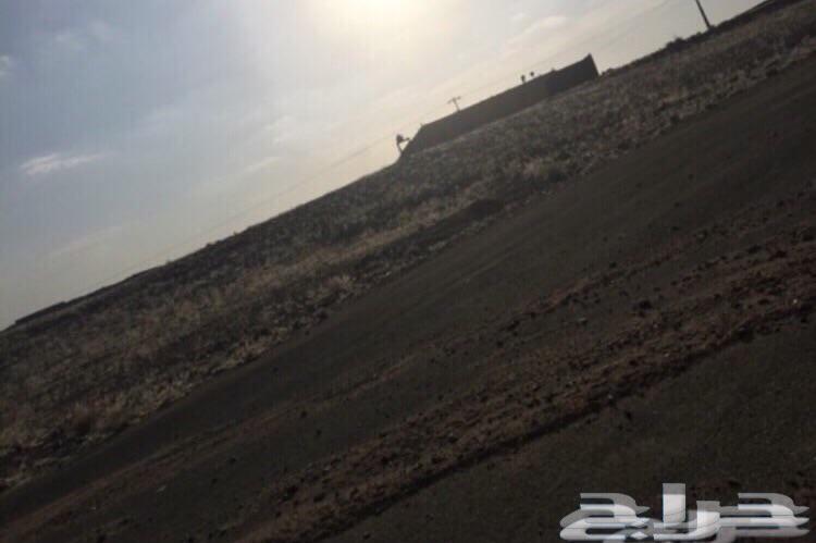 ارض للبيع مساحة 893