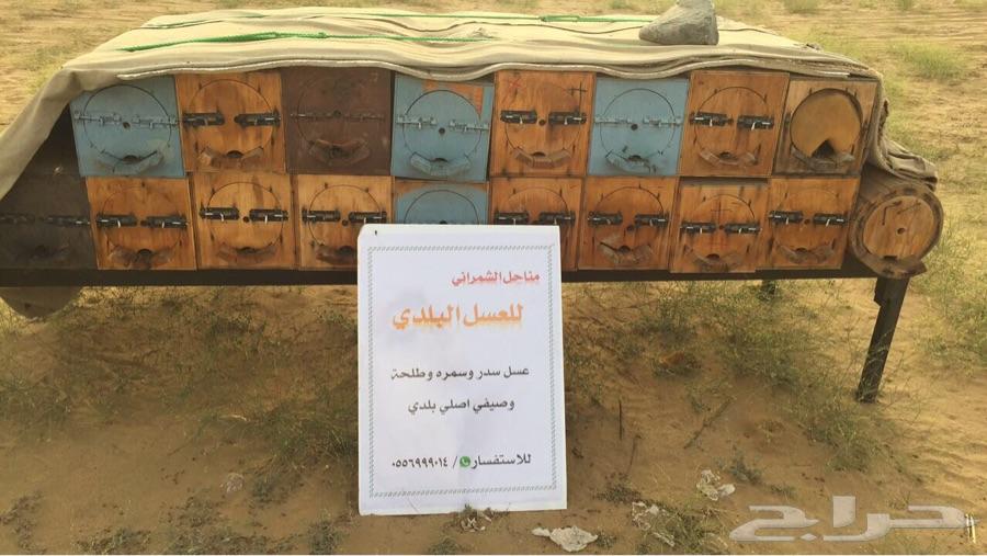 عسل سدر اصلي مضمون على المختبر قطفه1440