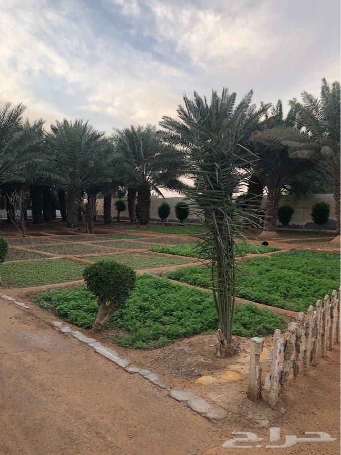 للبيع استراحة ب مخطط البديعة ( ديراب )