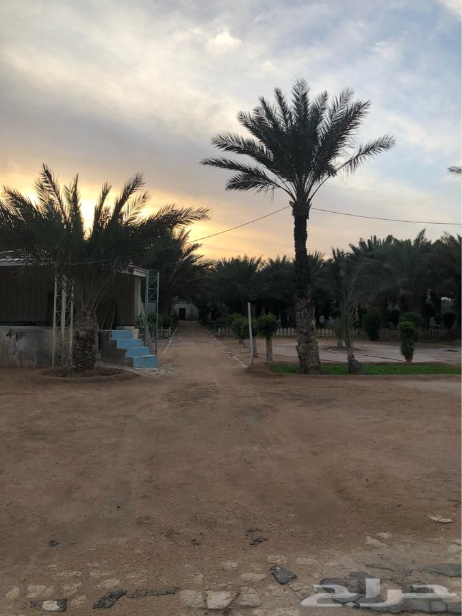 للبيع استراحة ب مخطط البديعة ( ديراب )