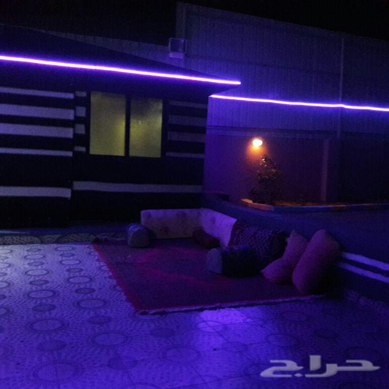 استراحة للايجار مسبح ألعاب شباب وعوايل350ريال