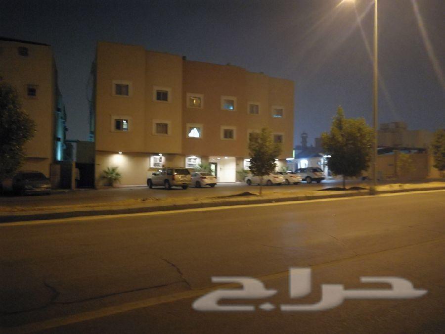 شقة في الشفا على شارع ابن طولون قريبة الخدمات