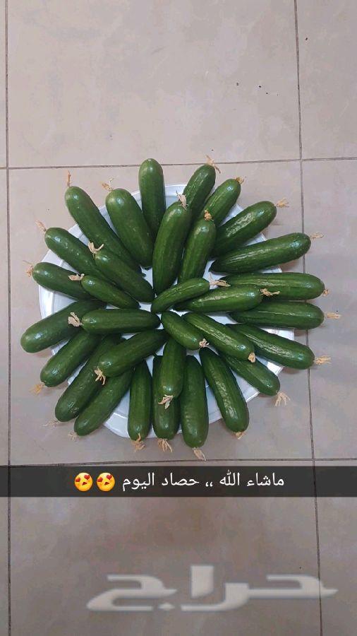 للبيع محاليل الزراعة المائية