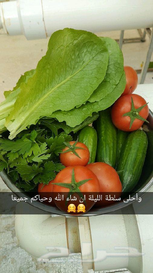 للبيع محاليل الزراعة المائية