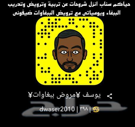 عرض فندقة طيور الببغاء الاقوى