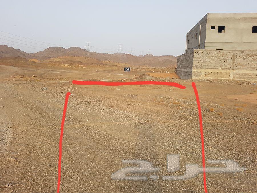 أرض للبيع خلفية التجاري - بيداء طيبة